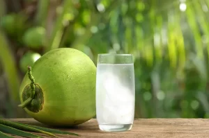 manfaat minum air kelapa