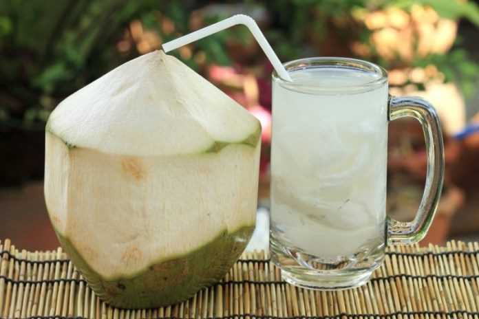 manfaat minum air kelapa